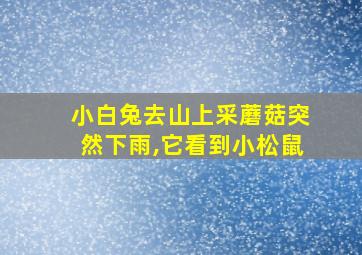 小白兔去山上采蘑菇突然下雨,它看到小松鼠