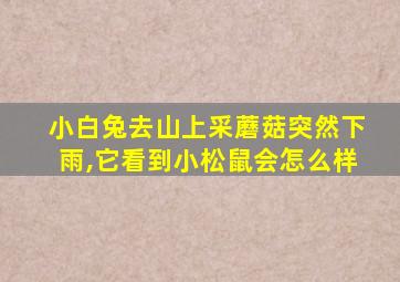 小白兔去山上采蘑菇突然下雨,它看到小松鼠会怎么样