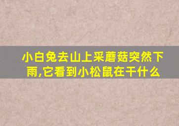 小白兔去山上采蘑菇突然下雨,它看到小松鼠在干什么