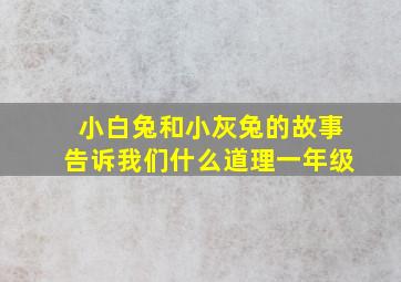 小白兔和小灰兔的故事告诉我们什么道理一年级