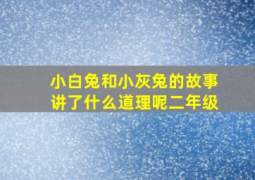 小白兔和小灰兔的故事讲了什么道理呢二年级