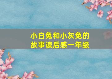 小白兔和小灰兔的故事读后感一年级