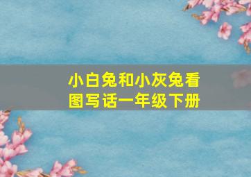 小白兔和小灰兔看图写话一年级下册