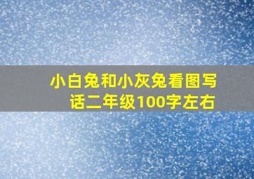 小白兔和小灰兔看图写话二年级100字左右