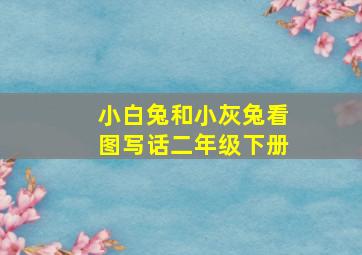 小白兔和小灰兔看图写话二年级下册