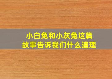 小白兔和小灰兔这篇故事告诉我们什么道理