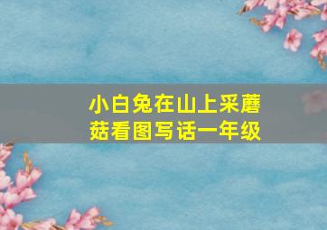 小白兔在山上采蘑菇看图写话一年级