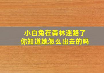 小白兔在森林迷路了你知道她怎么出去的吗