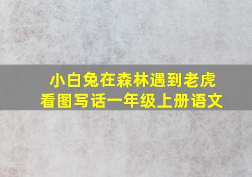 小白兔在森林遇到老虎看图写话一年级上册语文