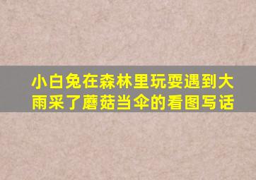 小白兔在森林里玩耍遇到大雨采了蘑菇当伞的看图写话