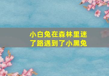 小白兔在森林里迷了路遇到了小黑兔