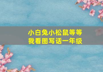 小白兔小松鼠等等我看图写话一年级