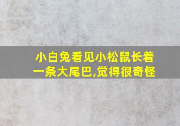 小白兔看见小松鼠长着一条大尾巴,觉得很奇怪