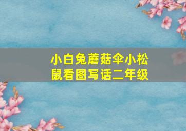 小白兔蘑菇伞小松鼠看图写话二年级