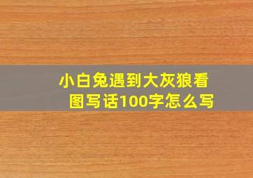 小白兔遇到大灰狼看图写话100字怎么写