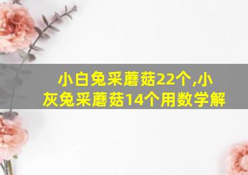 小白兔采蘑菇22个,小灰兔采蘑菇14个用数学解