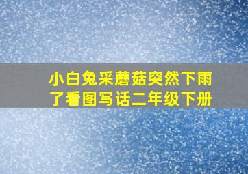 小白兔采蘑菇突然下雨了看图写话二年级下册