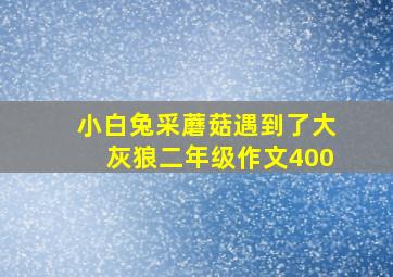 小白兔采蘑菇遇到了大灰狼二年级作文400