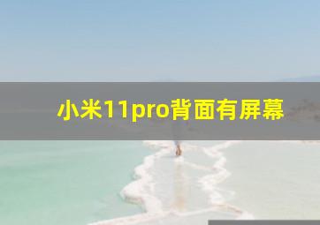 小米11pro背面有屏幕