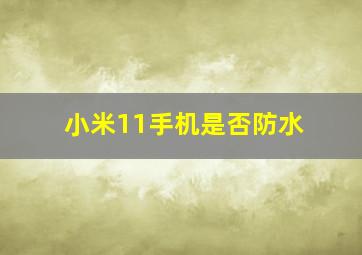 小米11手机是否防水