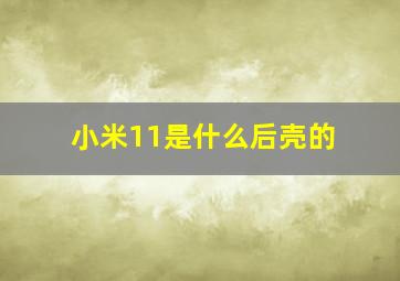 小米11是什么后壳的