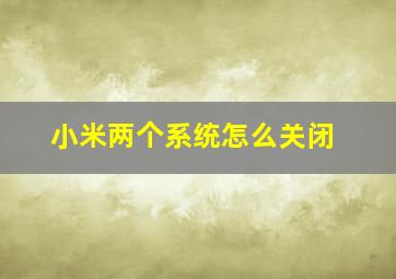 小米两个系统怎么关闭