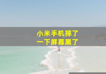 小米手机摔了一下屏幕黑了