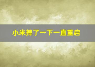 小米摔了一下一直重启