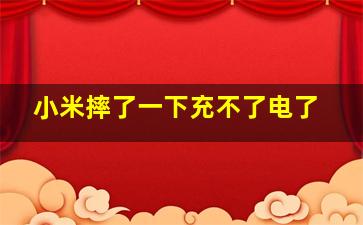 小米摔了一下充不了电了