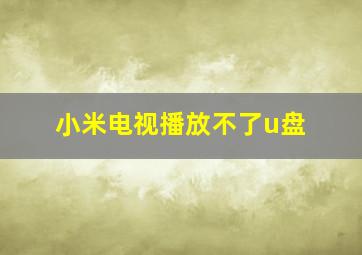 小米电视播放不了u盘