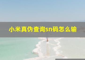 小米真伪查询sn码怎么输