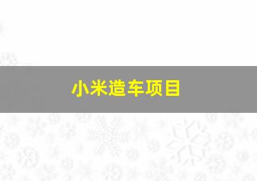 小米造车项目