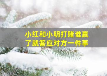 小红和小明打赌谁赢了就答应对方一件事