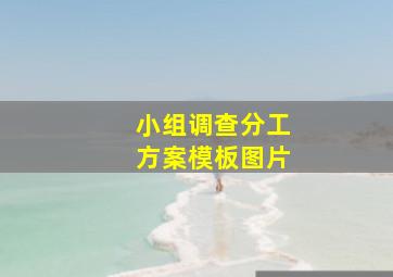 小组调查分工方案模板图片