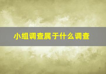 小组调查属于什么调查