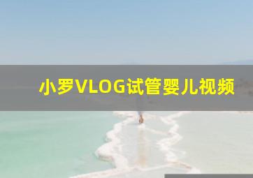 小罗VLOG试管婴儿视频