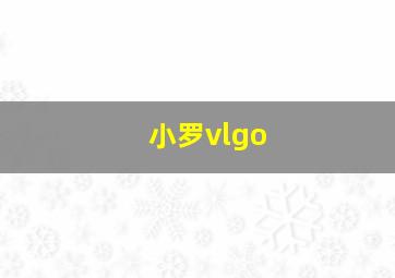 小罗vlgo