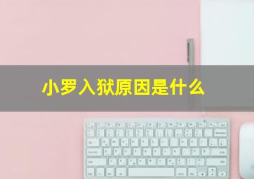 小罗入狱原因是什么