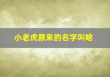 小老虎原来的名字叫啥