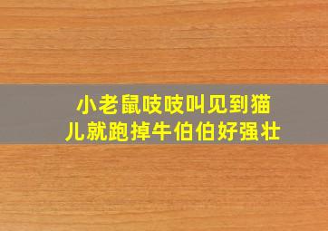 小老鼠吱吱叫见到猫儿就跑掉牛伯伯好强壮