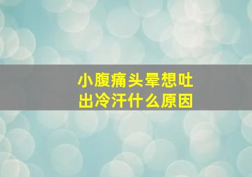 小腹痛头晕想吐出冷汗什么原因