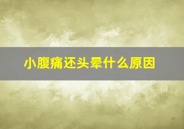 小腹痛还头晕什么原因