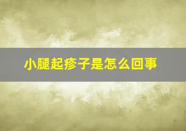 小腿起疹子是怎么回事