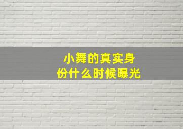 小舞的真实身份什么时候曝光