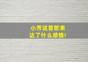 小芳这首歌表达了什么感情!