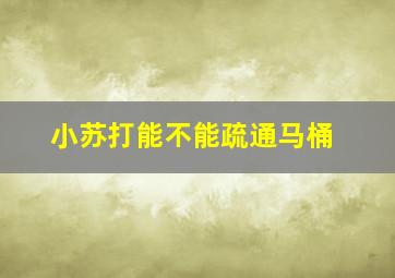 小苏打能不能疏通马桶