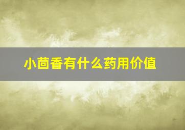 小茴香有什么药用价值