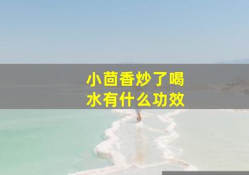 小茴香炒了喝水有什么功效