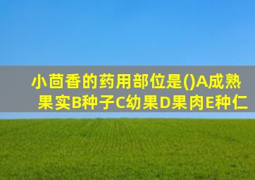 小茴香的药用部位是()A成熟果实B种子C幼果D果肉E种仁