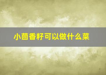 小茴香籽可以做什么菜